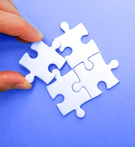Customized-Solutions