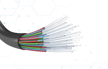 Panduit distributor Supplier in Muscat Oman