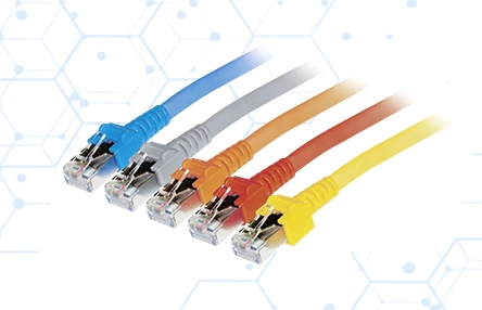 Datwylerdistributor Supplier in Muscat Oman